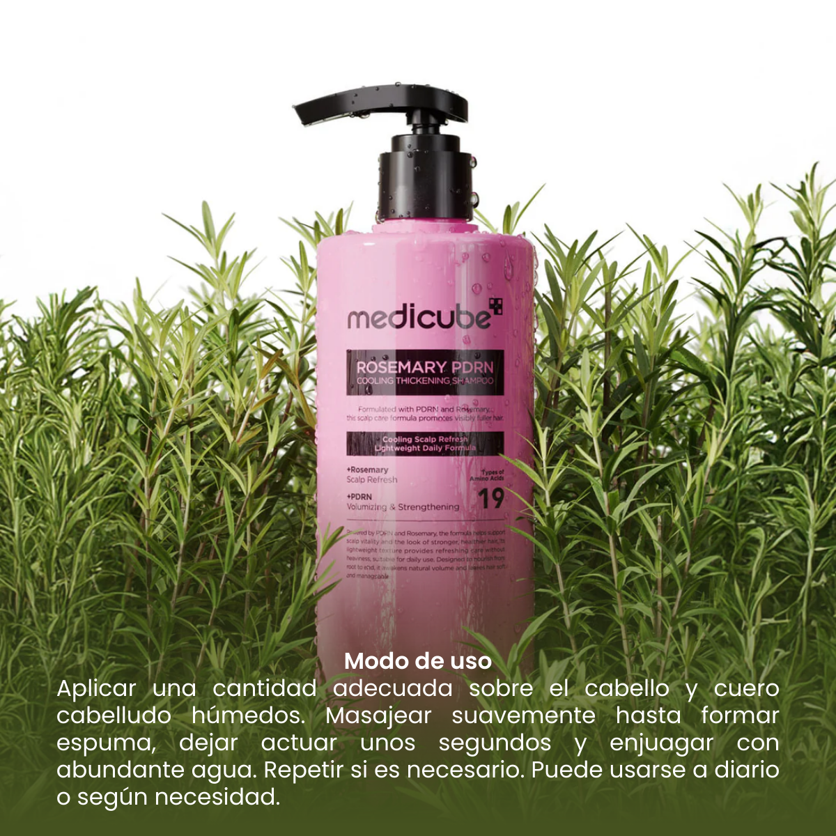 MEDICUBE ROSEMARY PDRN SHAMPOO ACLARANTE 400 ML