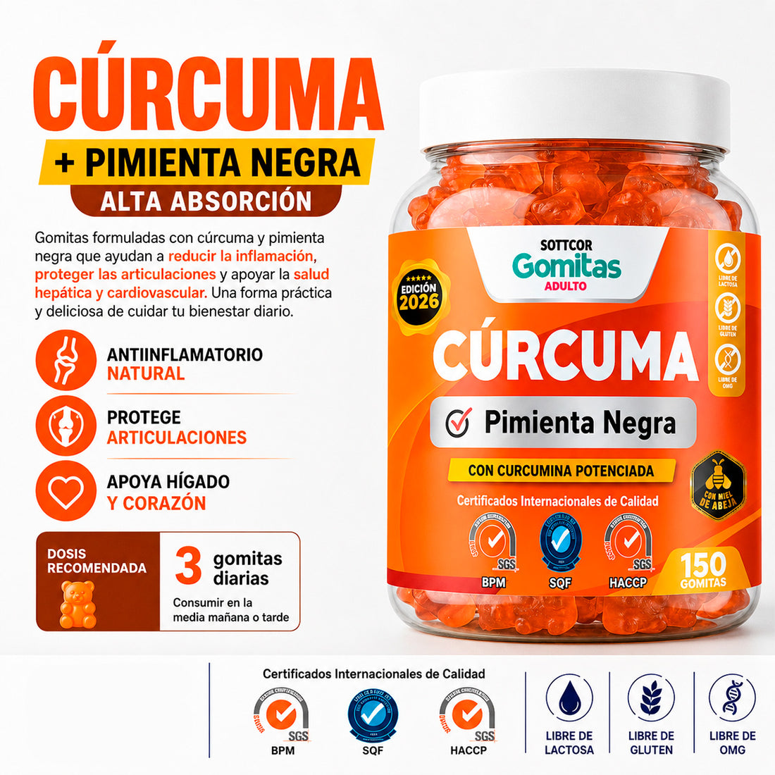 GOMITAS DE CURCUMA ADULTOS - SOTTCOR